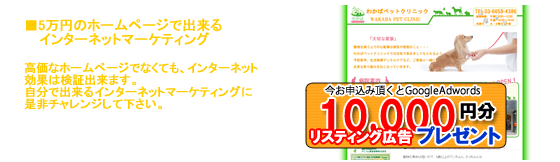 5���~�̃z�[���y�[�W�ŏo����C���^�[�l�b�g�}�[�P�e�B���O